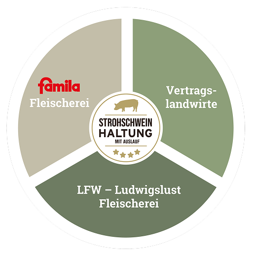 Strohschwein Infografik Strohschwein Infografik