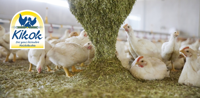 Tierwohl Kikok-Maishähnchen aus Deutschland