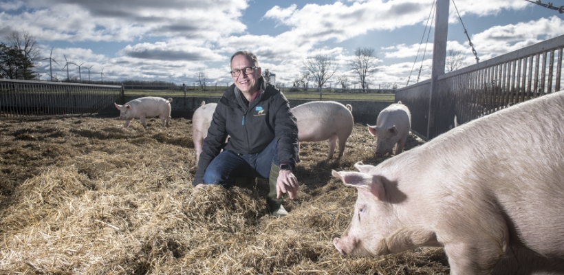 Tierwohl BIO Schweinefleisch aus Deutschland